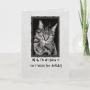 Recherche de chat gris vœux cartes Patte