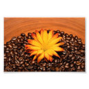 Recherche de graines posters Floral