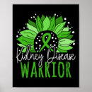 Recherche de rein posters Maladie