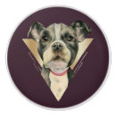 Recherche de chien blanc boutons et poignées de porte Animal