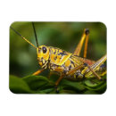 Recherche de floride magnets Parc national