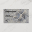 Recherche de familiers cartes visite Chenil