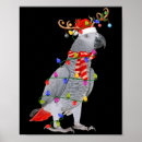 Recherche de perroquet art Décoration