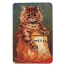 Recherche de douceurs magnets Chat