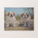 Recherche de st bernard puzzles Chien