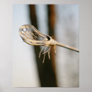 Recherche de équipement art Blanc