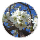 Recherche de printemps boutons et poignées de porte Floral