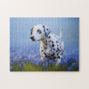 Recherche de dalmate puzzles Chien