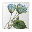 Recherche de fleur de lotus carreaux Bleu