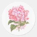 Recherche de belle illustration de fleurs autocollants Fleur rose