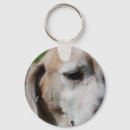 Recherche de beagles porteclés Hacher
