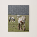 Recherche de cheval de clydesdale puzzles Animal