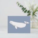 Recherche de beluga cartes postales Baleine blanche