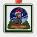 Recherche de labrador retriever ornements Laboratoires