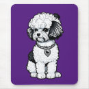 Recherche de bichon tapis souris Animal