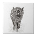 Recherche de loups carreaux Sauvage