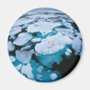 Recherche de ours refrigérateur magnets Paysage