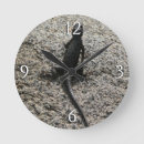 Recherche de lézard horloges Animal