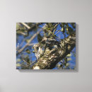 Recherche de pic impressions sur toile Faune