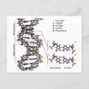 Recherche de adn cartes postales Dna