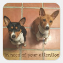Recherche de basenji autocollants Chien
