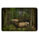 Recherche de animaux sauvages magnets Pour elle