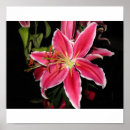 Recherche de multi région posters Jardin