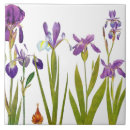 Recherche de iris carreaux Floral