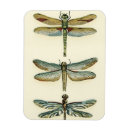 Recherche de collections magnets Animaux
