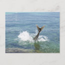 Recherche de pêche cartes postales Poisson