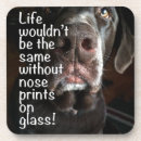 Recherche de nez dessous de verres Chien
