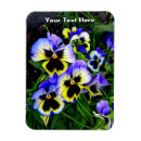 Recherche de viola magnete Fleur