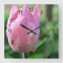 Recherche de fleurs de tulipes horloges Printemps