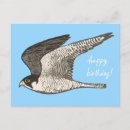 Recherche de faucon vœux cartes Oiseau