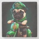 Recherche de chien carlin de dessous de verres Chiot