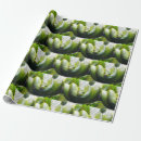 Recherche de serpent vert Zoo