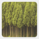 Recherche de cèdres autocollants Arbre