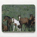 Recherche de chevaux sauvages mustang tapis souris Groupe