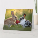 Recherche de deux lapins vœux cartes Printemps