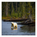 Recherche de esprits posters Faune