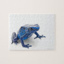 Recherche de sang puzzles Animaux