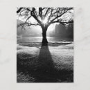 Recherche de lumière noire cartes postales Paysage