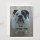 Recherche de engli Chiot
