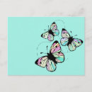 Recherche de papillon turquoise cartes postales Papillons