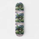 Recherche de dieux comp skateboards Nature