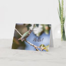 Recherche de colibri photographie Oiseau