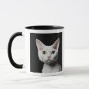 Recherche de impair tasses Chat