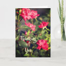 Recherche de expression vœux cartes Rose
