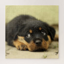 Recherche de de rottweiler puzzles Nature