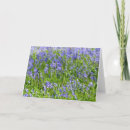 Recherche de jacinthes vœux cartes Heureux